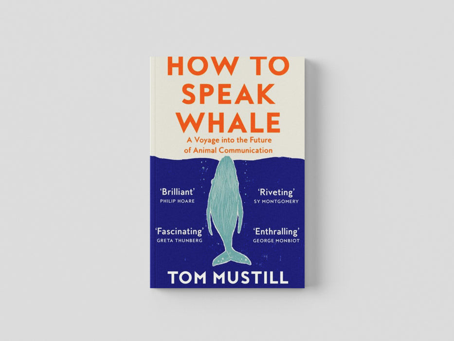 How to Speak Whale Paperback / softback