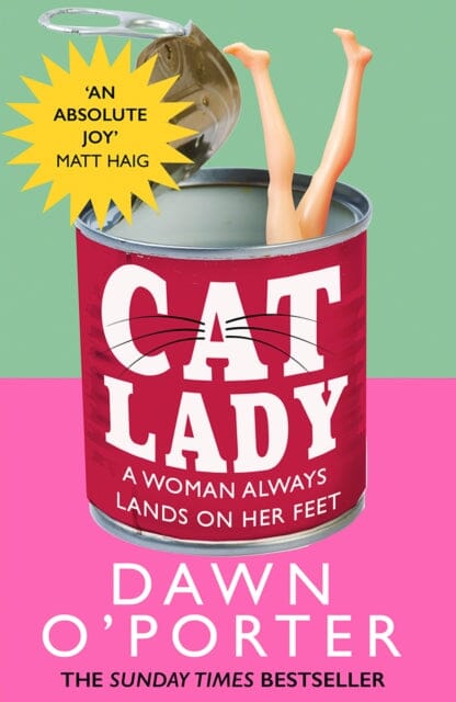 Cat Lady by Dawn O�_TPorter