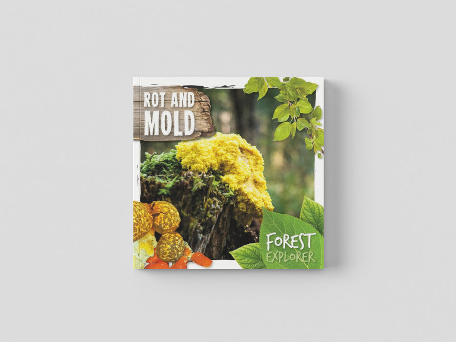 Rot & Mould