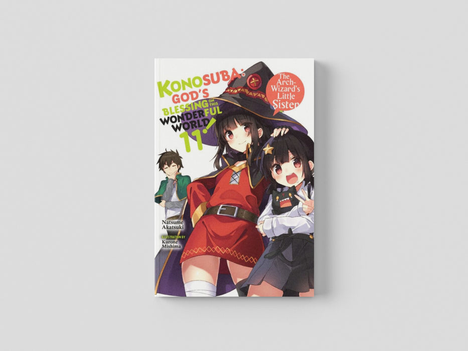 Konosuba: God's Blessing on This Wonderful World!, Vol. 11 (light novel) Paperback / softback