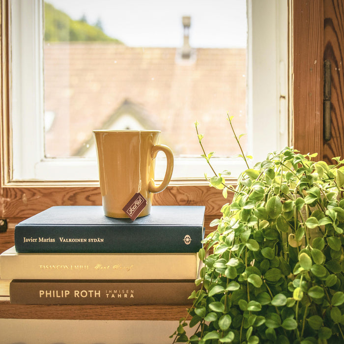 Best New Releases in Fiction & Non-Fiction This Autumn 2025