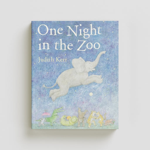 One Night in the Zoo Paperback / softback