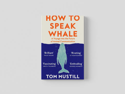 How to Speak Whale Paperback / softback