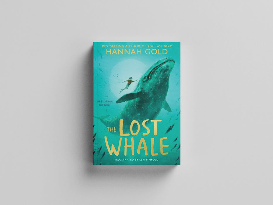 The Lost Whale Paperback / softback