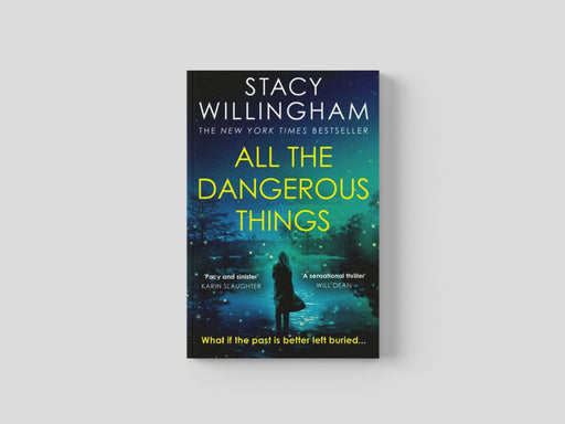 All the Dangerous Things Paperback / softback