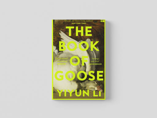 The Book of Goose Paperback / softback