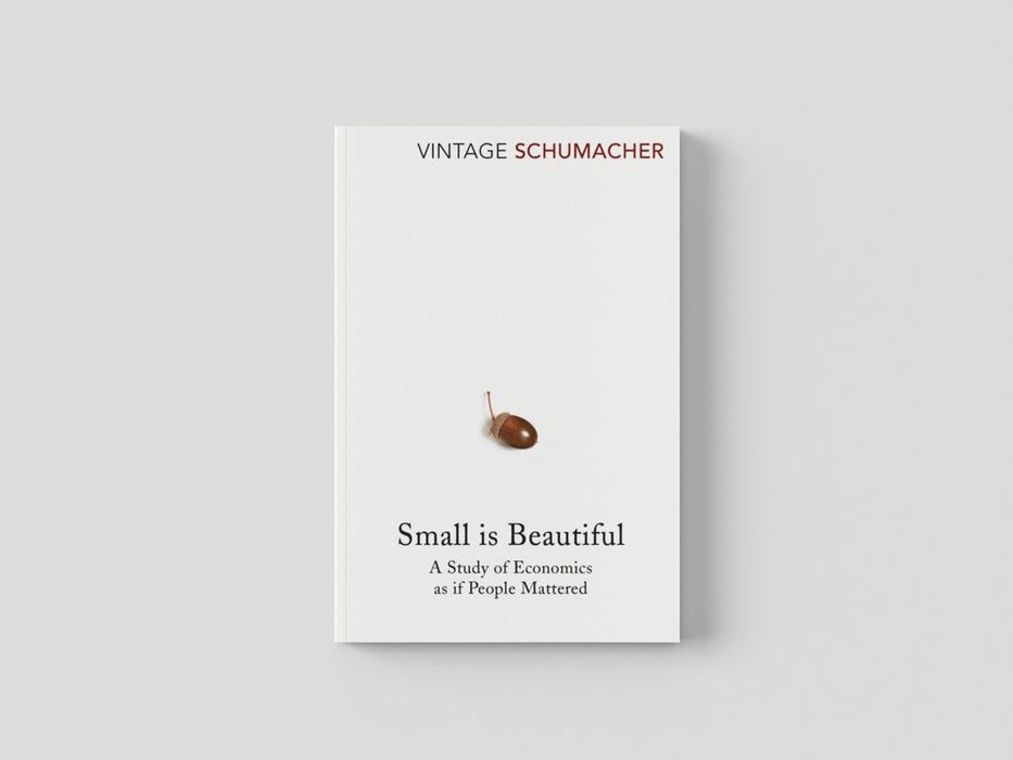 Small Is Beautiful Paperback / softback