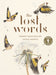 The Lost Words by Robert Macfarlane