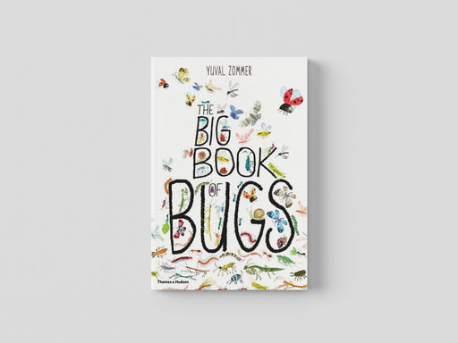 The Big Book of Bugs Hardback