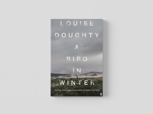 A Bird in Winter Hardback