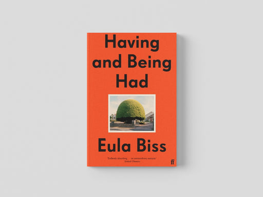 Having and Being Had Paperback / softback