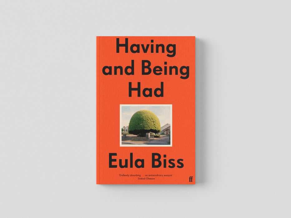 Having and Being Had Paperback / softback