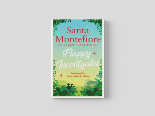 Flappy Investigates Paperback / softback