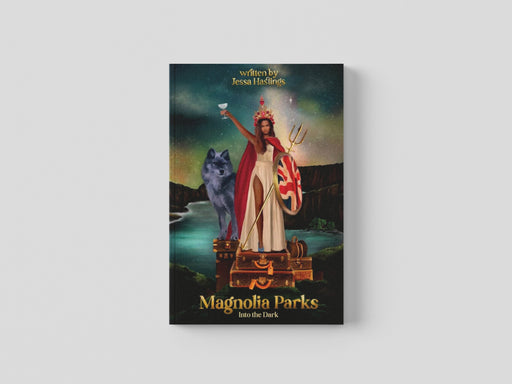 Magnolia Parks: Into the Dark Paperback / softback