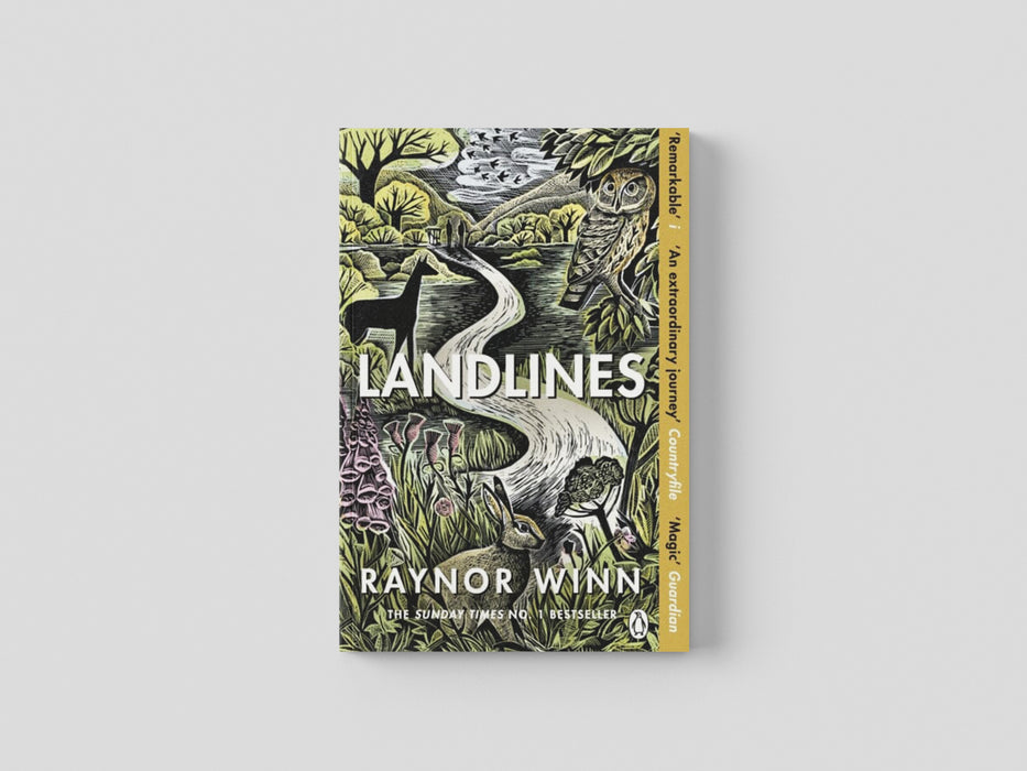 Landlines Paperback / softback