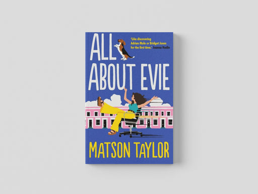 All About Evie Paperback / softback