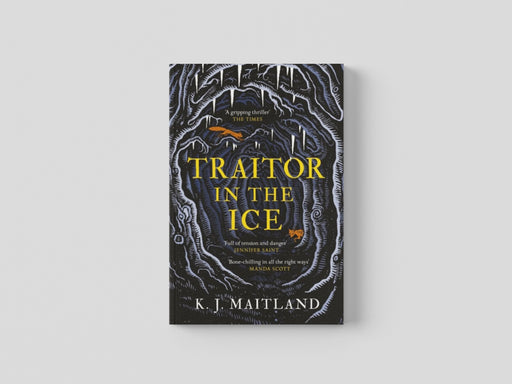 Traitor in the Ice Paperback / softback
