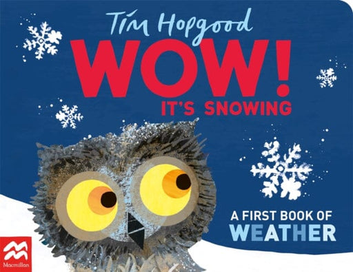 WOW! It's Snowing : A First Book of Weather by Tim Hopgood