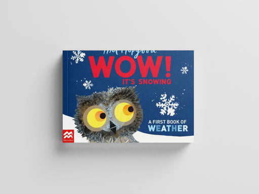 WOW! It's Snowing Board book