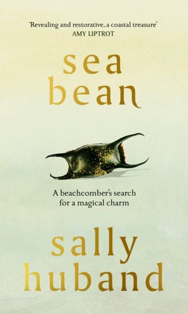 Sea Bean by Sally Huband