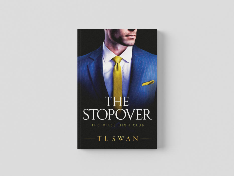 The Stopover Paperback / softback