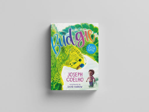 Budgie Paperback / softback
