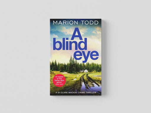 A Blind Eye Paperback / softback