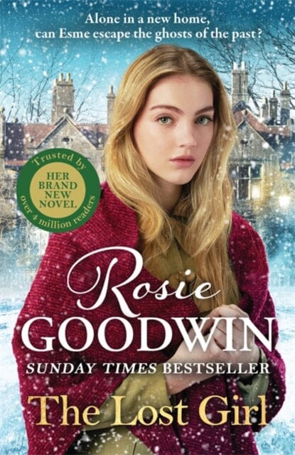 The Lost Girl : The heartbreaking new novel from Sunday Times bestseller Rosie Goodwin by Rosie Goodwin