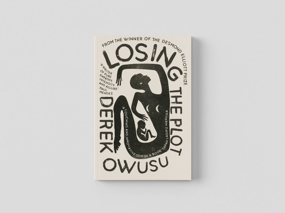 Losing the Plot Hardback