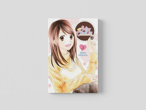Mint Chocolate, Vol. 3 Paperback / softback
