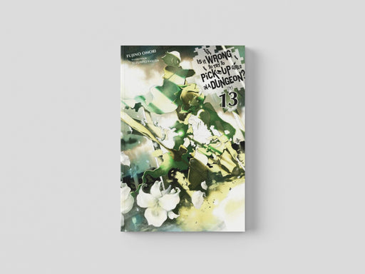 Is It Wrong to Try to Pick Up Girls in a Dungeon?, Vol. 13 (light novel) Paperback / softback