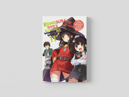 Konosuba: God's Blessing on This Wonderful World!, Vol. 11 (light novel) Paperback / softback