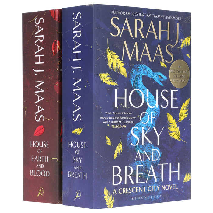 Crescent City Series by Sarah J. Maas 2 Books Collection Set - Fiction - Paperback