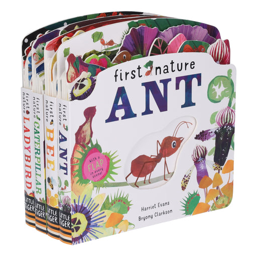 First Nature 4 Books Childrens Collection Set (ANT, BEE, CATERPILLAR & LADYBIRD) By Harriet Evans - Ages 0-5 - Board Book